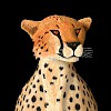 Digital cheetah